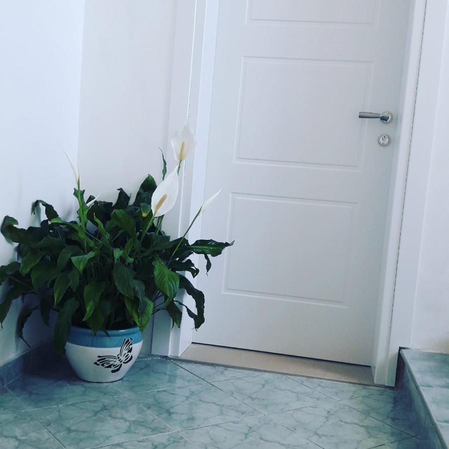 Juriki Apartament فلورا المظهر الخارجي الصورة